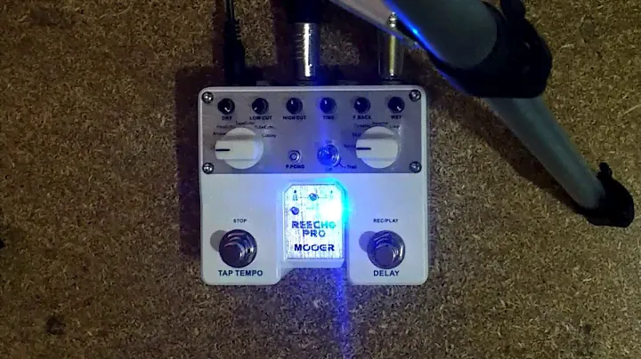 Mooer Reecho Pro