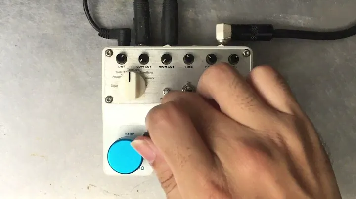 MOOER REECHO PRO DUAL DIGITAL DELAY (NO TALK)