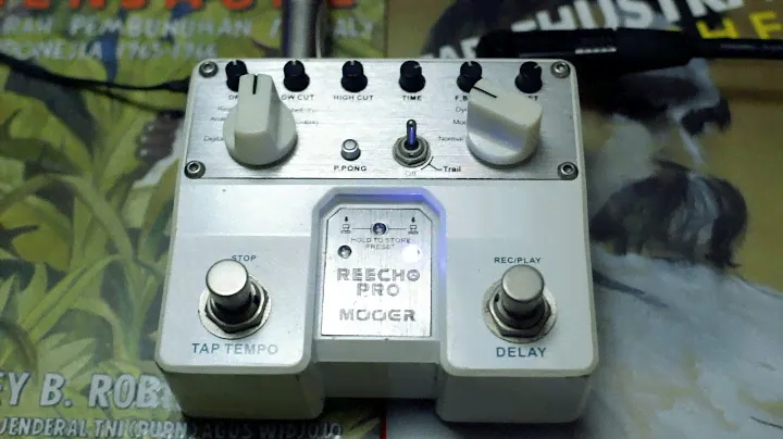 MOOER REECHO PRO DELAY