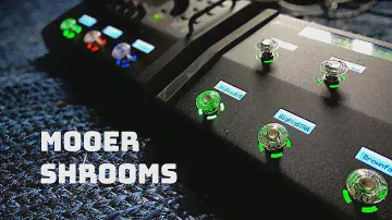 Mooer Shrooms