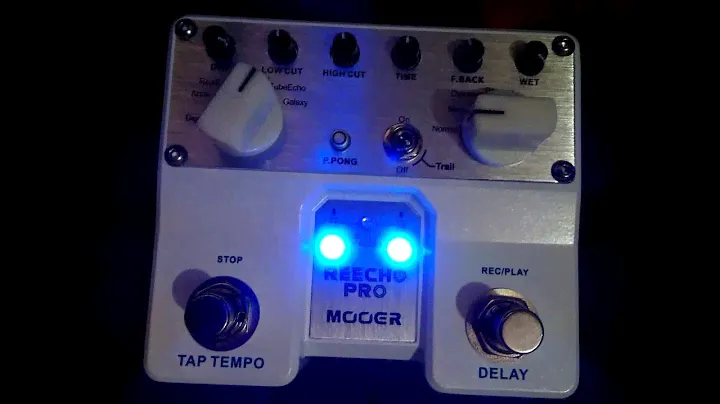 Mooer Reecho Pro - Review