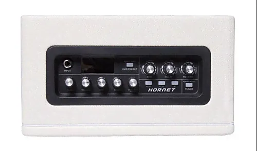 Mooer DH02-Hornet-15W-WH Комбоусилитель.-2